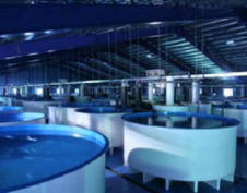 Modular Aquaculture Facility
